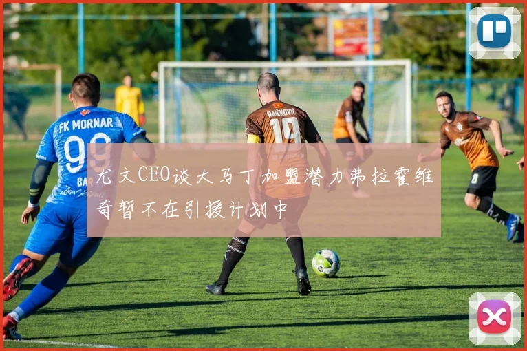 尤文CEO谈大马丁加盟潜力弗拉霍维奇暂不在引援计划中