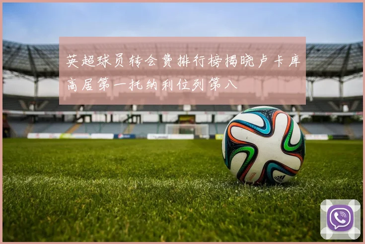 英超球员转会费排行榜揭晓卢卡库高居第一托纳利位列第八