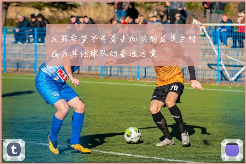 灰熊希望字母哥去向明朗后莫兰特成为其他球队的备选方案