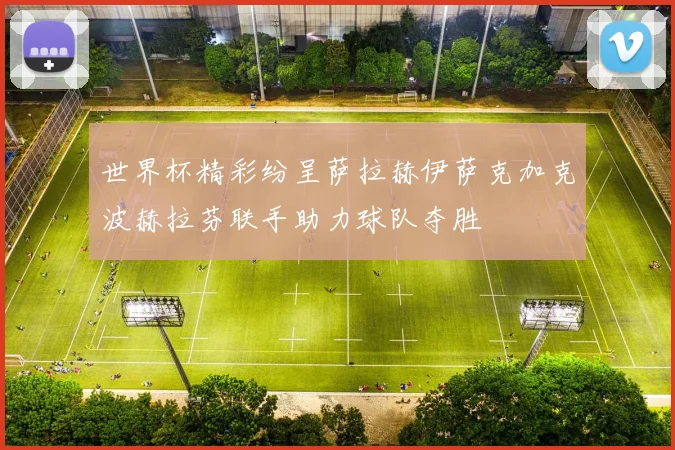 世界杯精彩纷呈萨拉赫伊萨克加克波赫拉芬联手助力球队夺胜